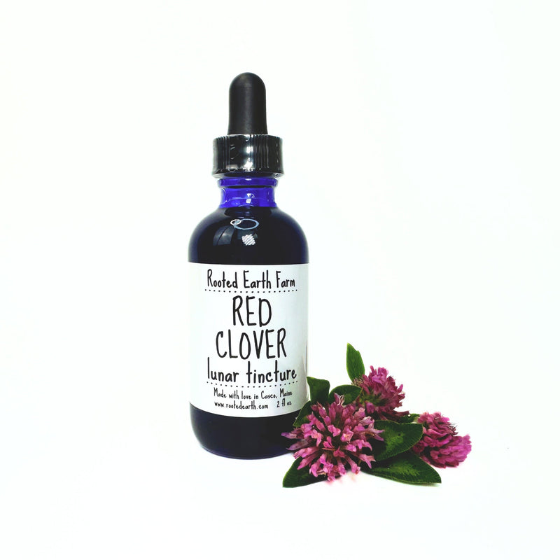Rooted Earth Farm + Apothecary Red Clover Tincture Tinctures + Capsules