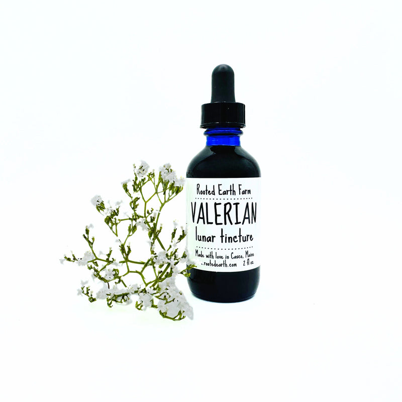 Rooted Earth Farm + Apothecary Valerian Tincture Tinctures + Capsules