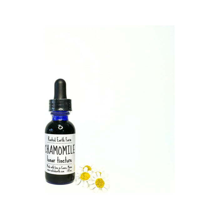 Chamomile Tincture