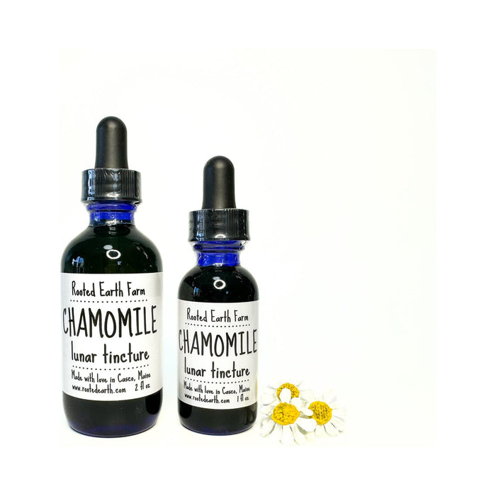 Chamomile Tincture