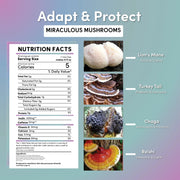 Teeccino Miraculous Mushrooms® Adapt & Protect Instant Herbal Coffee Instant Coffee