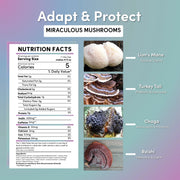 Teeccino Miraculous Mushrooms® Adapt & Protect Instant Herbal Coffee Instant Coffee Dark Gray 3.95 oz