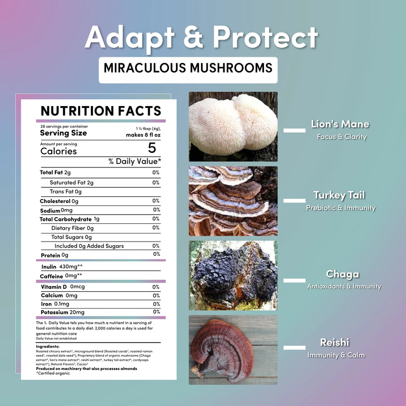 Teeccino Miraculous Mushrooms® Adapt & Protect Instant Herbal Coffee Instant Coffee Dark Gray 3.95 oz