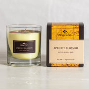 Rosy Rings Apricot Blossom - A Patricia Nash Candle Tumbler Candle Light Gray