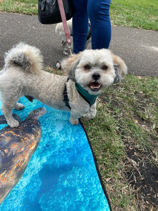 Dog Travel Mat- Perfect for dogs that love adventure!