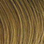 VIP Extensions Hairdo 18 Simply Straight Wrap Around Ponytail, Color RL12/22 Cappuccino Hair Extension