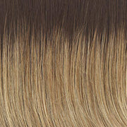 VIP Extensions Alpha Wave 16" - Top Piece by Raquel Welch RW Transformation