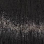 VIP Extensions WHIMSY -  by Raquel Welch Hair Topper
