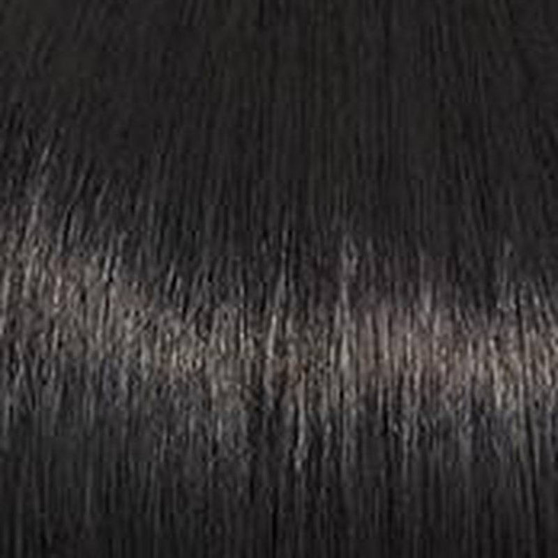VIP Extensions WHIMSY -  by Raquel Welch Hair Topper