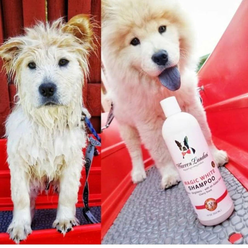 Warren London Magic White Brightening Dog Shampoo - Cherry Scented - 17oz Dog Shampoo