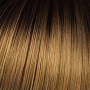 VIP Extensions Fringe Top of Head - By Hairdo Accessories