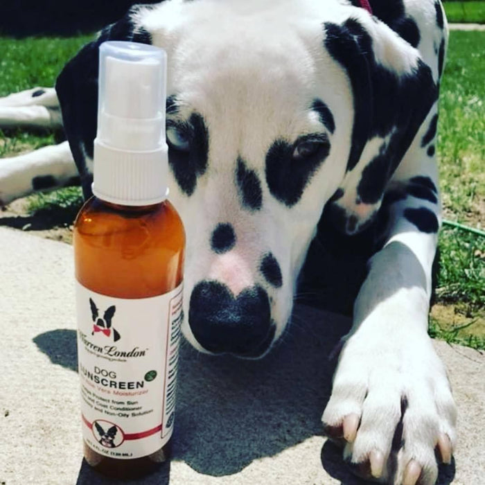 Warren London - Warren London - Dog Sunscreen With Aloe Vera Moisturizer