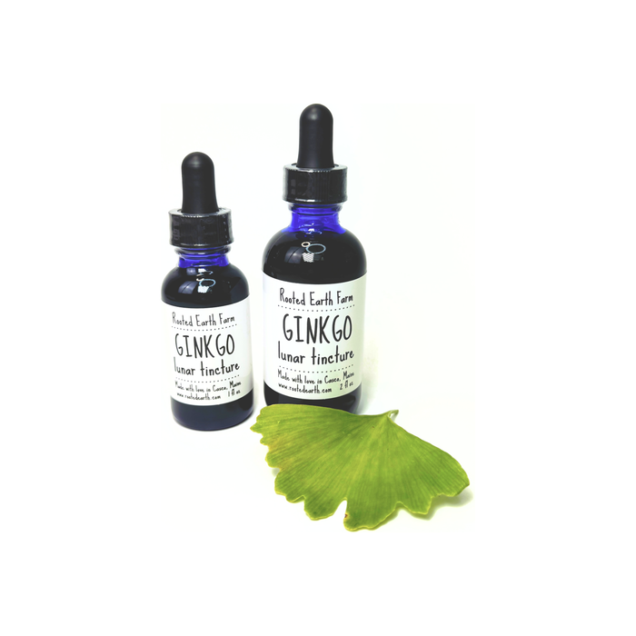 Ginkgo Tincture