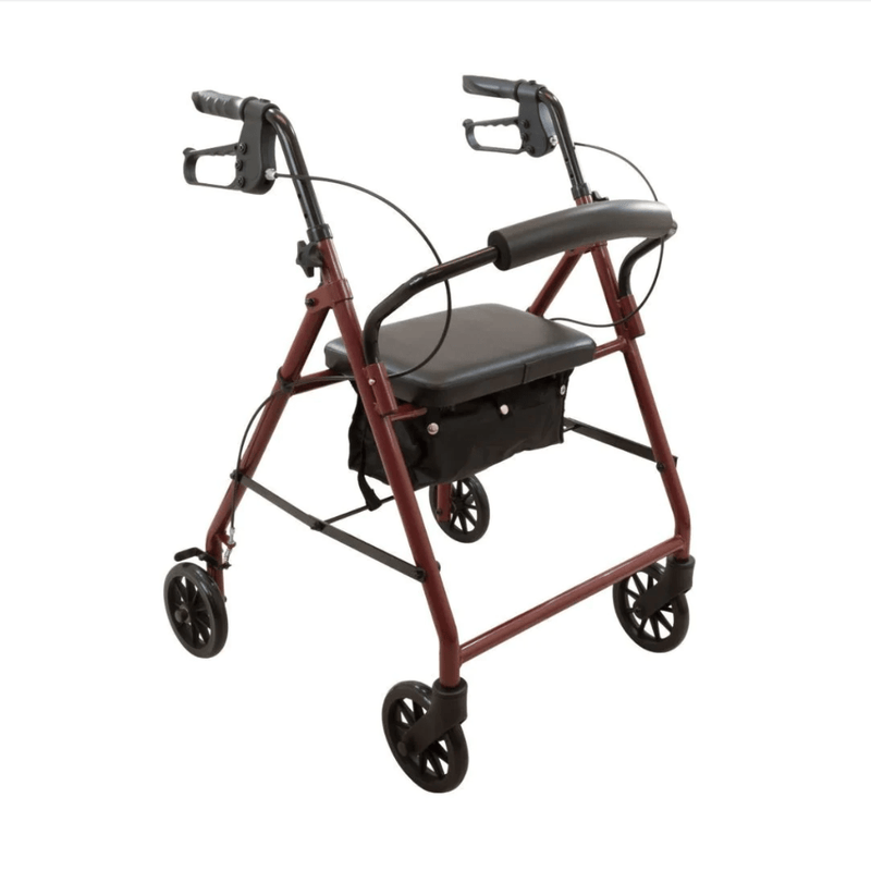 ProBasics ProBasics Rollator Knock-down Steel Blue Walkers