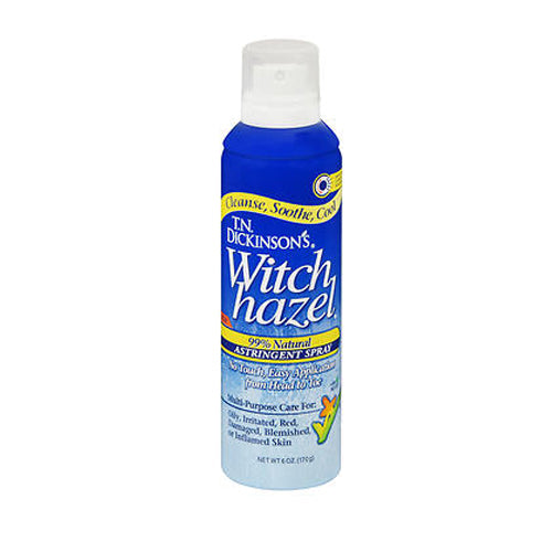 T.N. Dickinson's T.N. Dickinson's Astringent Spray, With Aloe, Witch Hazel Skin Care White Smoke