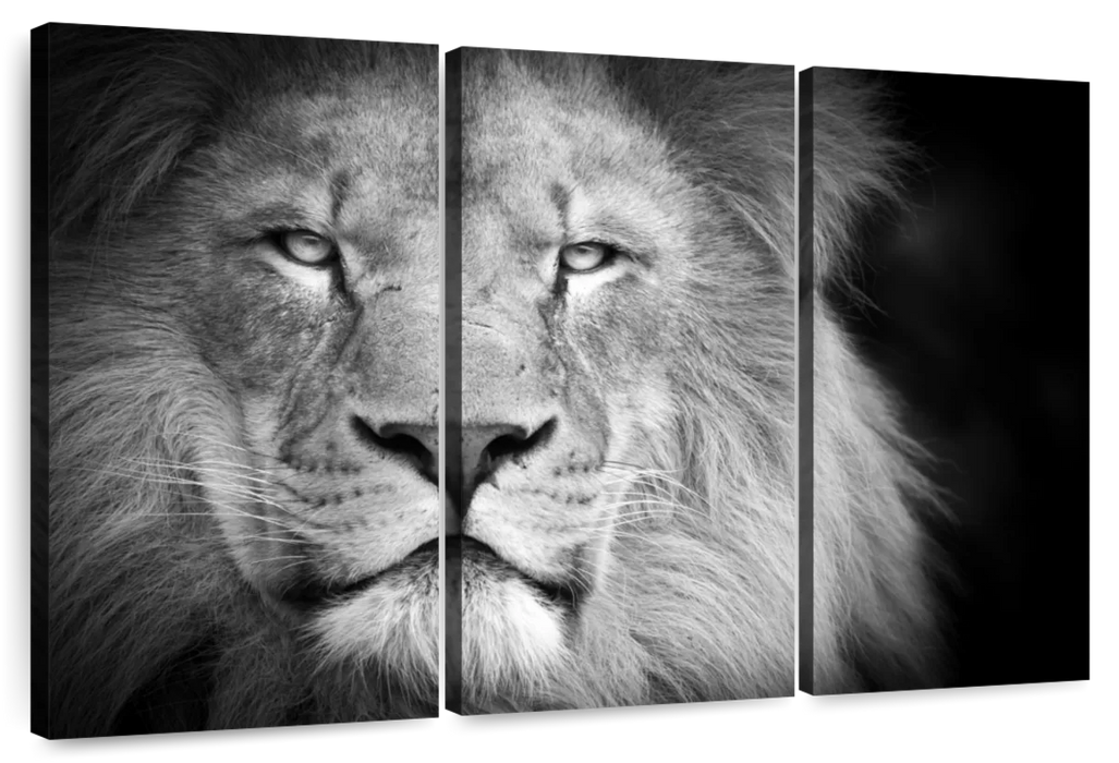 Lion Portrait Wall Art