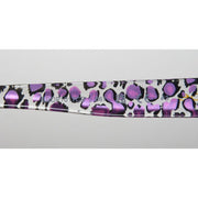 ModaFrames Bebe Bbop1017ce Sunglasses Sunglasses