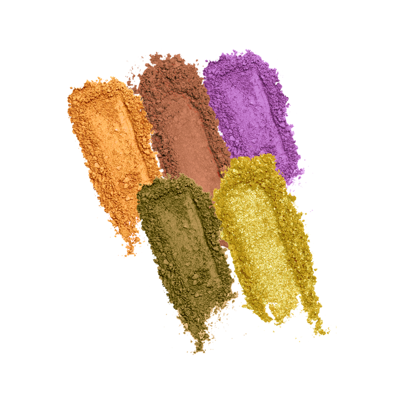 Profusion Cosmetics Mini Essentials 5 Shade Palette Eyes