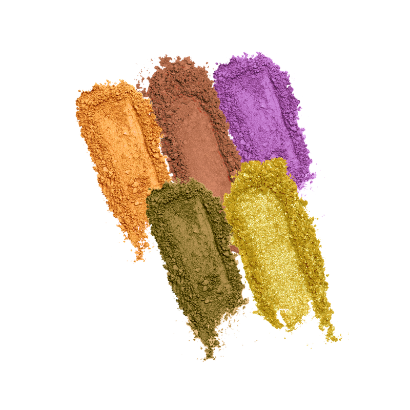 Profusion Cosmetics Mini Essentials 5 Shade Palette Eyes