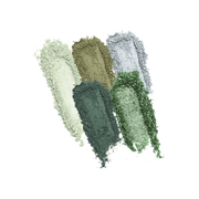 Profusion Cosmetics Mini Essentials 5 Shade Palette Eyes