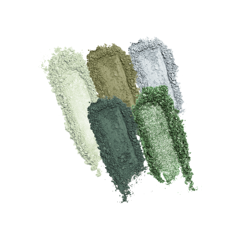 Profusion Cosmetics Mini Essentials 5 Shade Palette Eyes