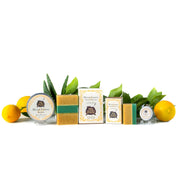Soap Cauldron Body Butter Meyer Lemon & Agave Body Butter