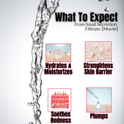 gymsegbë Snail Mucin 98 Power Bomb Essence Anti-Aging Facial