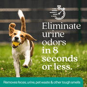 EcoStrong Outdoor Odor Eliminator Pet & Animal > Outdoor Odor Dark Slate Gray 1 Gallon Jug and Multi Use Sprayer,1 Gallon Jug,32 oz Sprayer Bottle and 1 Gallon Refill,32 oz Sprayer Bottle,10 x 2 oz Shots and Sprayer Bottle,5 Gallon Pail