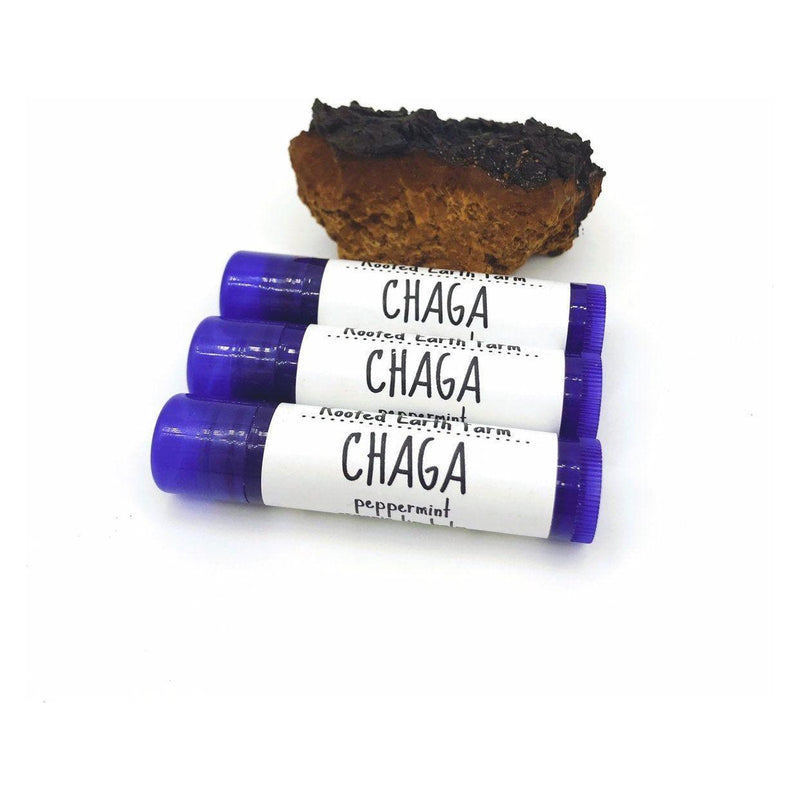 Rooted Earth Farm + Apothecary Chaga Lip Balm Lip Balms + Tints