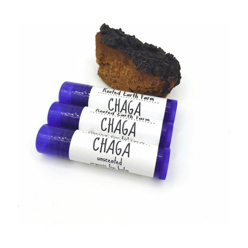 Rooted Earth Farm + Apothecary Chaga Lip Balm Lip Balms + Tints