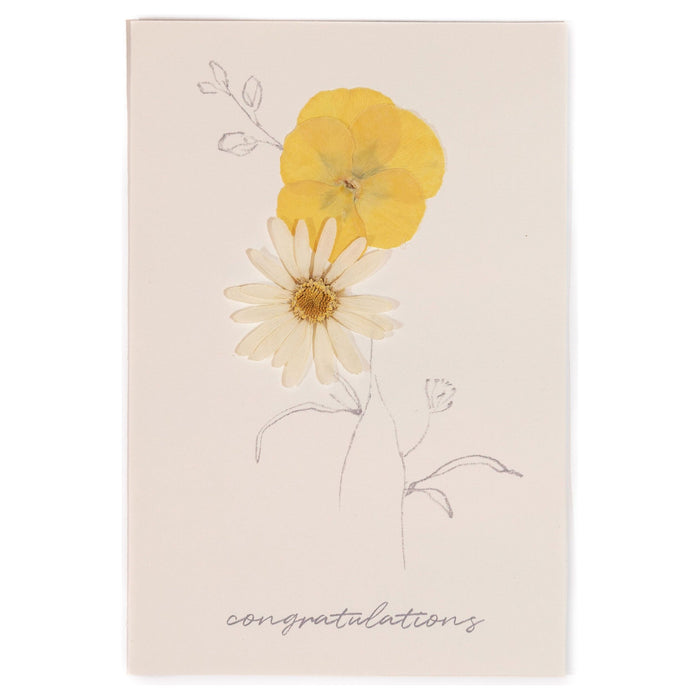 Congratulations - White Daisy Pressed Floral Stationery