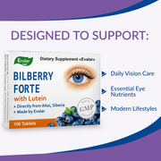 SiberianGreen.com Blueberry Forte with Lutein - 100 Tablets- Vision care and Eye care supplement Herbs
