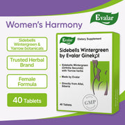 SiberianGreen.com Orthilia Secunda Sidebells Wintergreen Yarrow by Evalar 40 Tabs Herbs