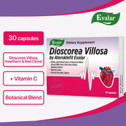 SiberianGreen.com Dioscorea Villosa Wild Yam Red Clover by Evalar Ateroklefit Herb 30 Caps Herbs