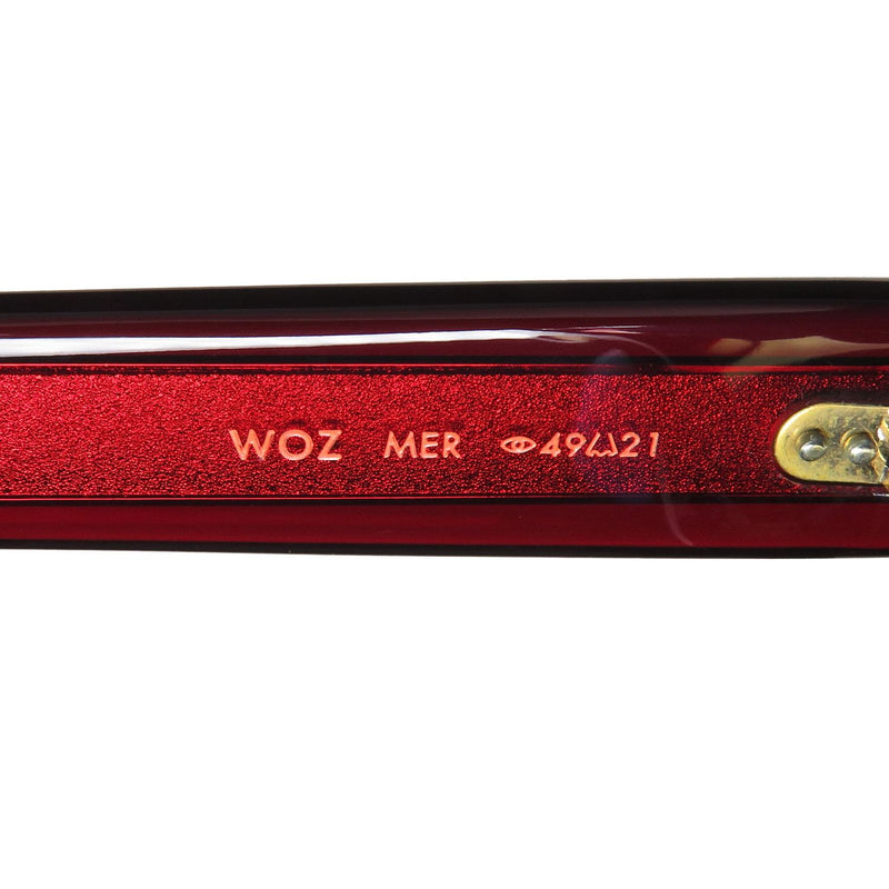 ModaFrames Garrett Leight Woz Sunglasses Sunglasses