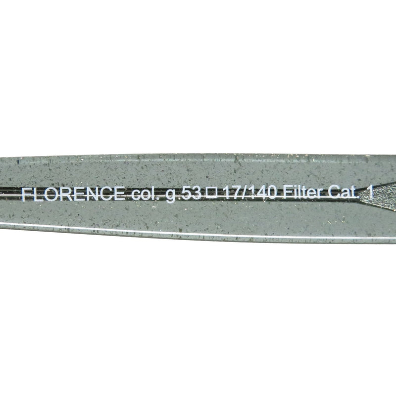 ModaFrames Andy Wolf Florence Sunglasses Sunglasses