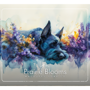 Macduffs Soap Company Macduffs Soap Co. Prairie Blooms Collection Shaving Set Gray Aftershave 100ml