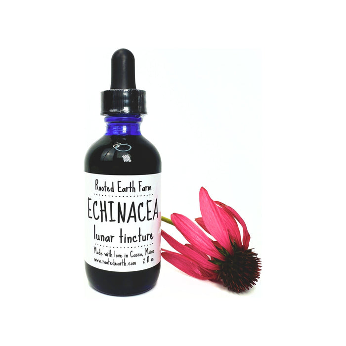 Rooted Earth Farm + Apothecary - Echinacea Tincture 1oz - 2oz