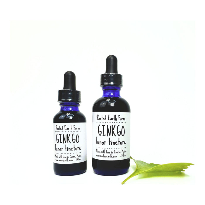 Ginkgo Tincture