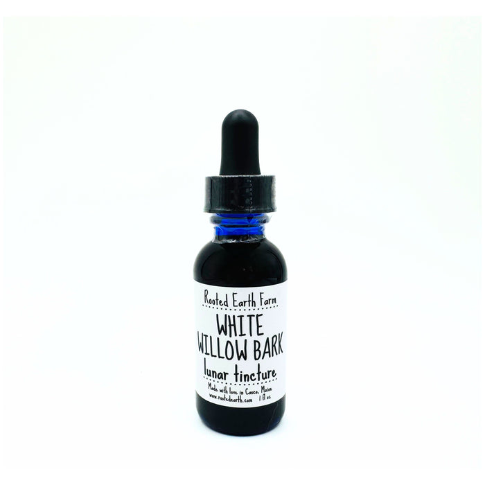 White Willow Bark Tincture