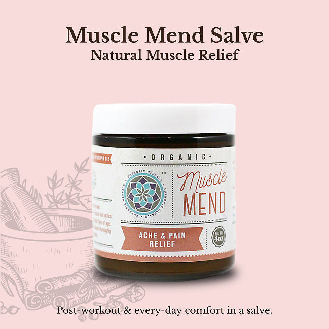 Euphoric Herbals Muscle Mend Salve Salve