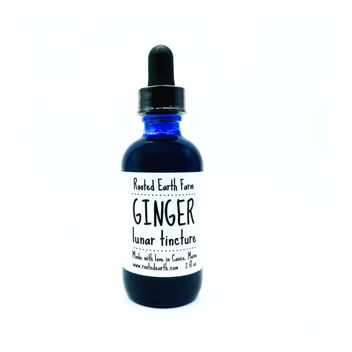 Ginger Tincture