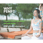ZAQ Skin & Body Infrared PEMF Travel Mat