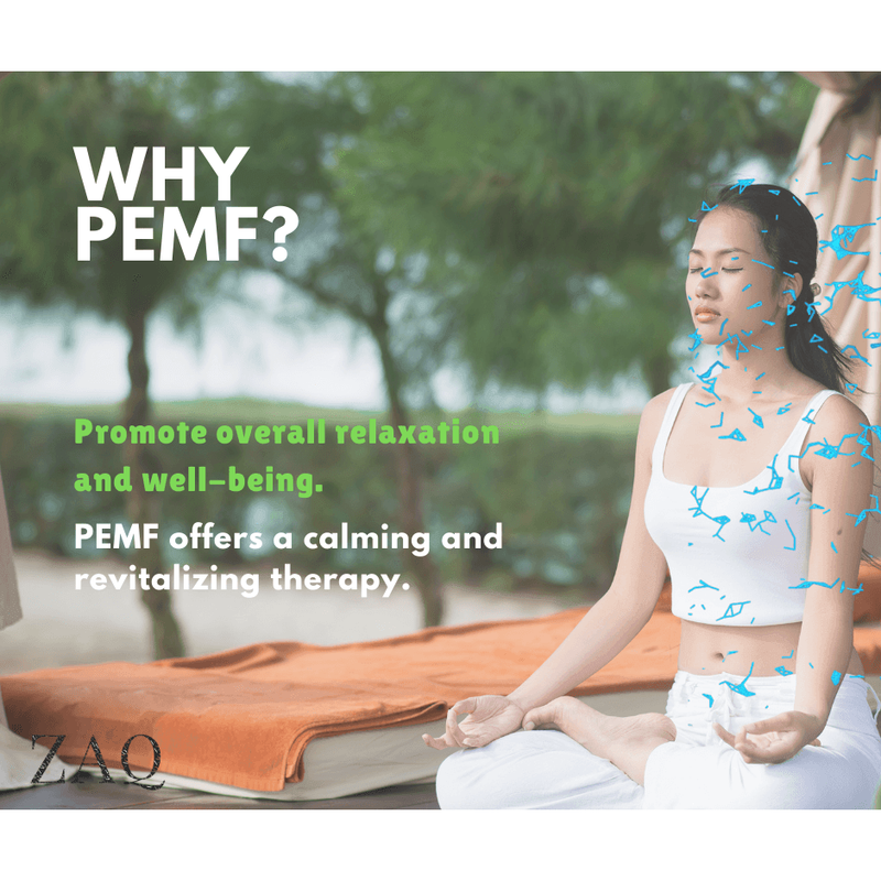 ZAQ Skin & Body Infrared PEMF Travel Mat