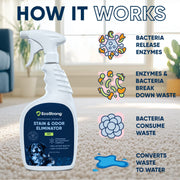 EcoStrong Pet Stain and Odor Eliminator Pet & Animal > Pet Stain & Odor