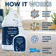 EcoStrong Pet Stain and Odor Eliminator Pet & Animal > Pet Stain & Odor