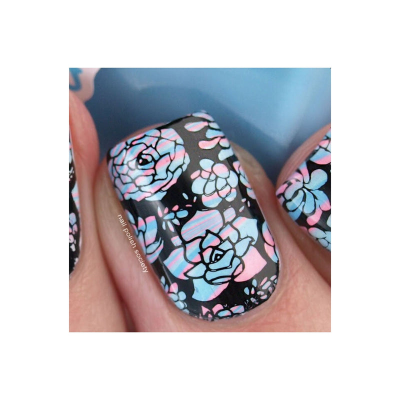 UberChic Beauty Succulents Stamping Plate