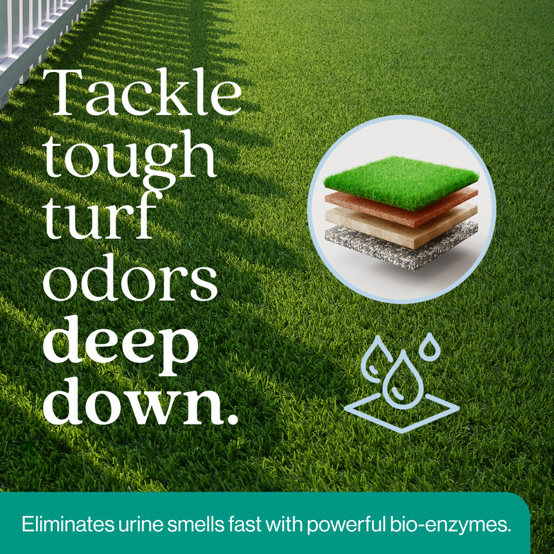 EcoStrong Outdoor Odor Eliminator Pet & Animal > Outdoor Odor Dark Green 1 Gallon Jug and Multi Use Sprayer,1 Gallon Jug,32 oz Sprayer Bottle and 1 Gallon Refill,32 oz Sprayer Bottle,10 x 2 oz Shots and Sprayer Bottle,5 Gallon Pail