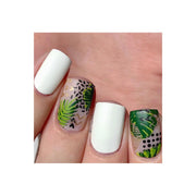 UberChic Beauty Modern Tropical Stamping Plate
