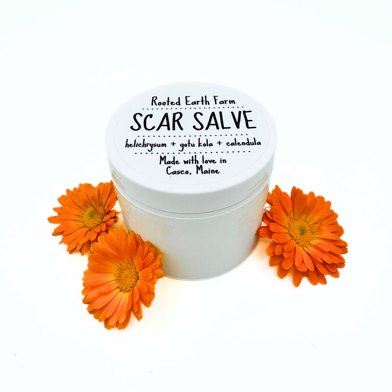 Rooted Earth Farm + Apothecary Scar Salve Herbal Salves + Balms